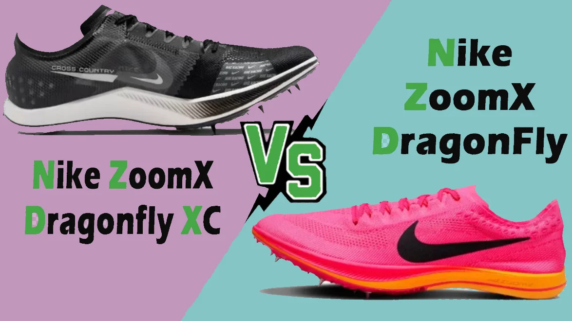 Boston 11 vs Pegasus 40